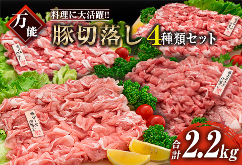 豚肉 切り落とし 4種 セット 合計2.2kg 日南市産 ポーク 国産 食品 おかず お弁当 おつまみ 万能食材 豚ロース 豚バラ 豚モモ 豚ウデ 切落し 食べ比べ 人気 おすすめ カレー 焼肉 生姜