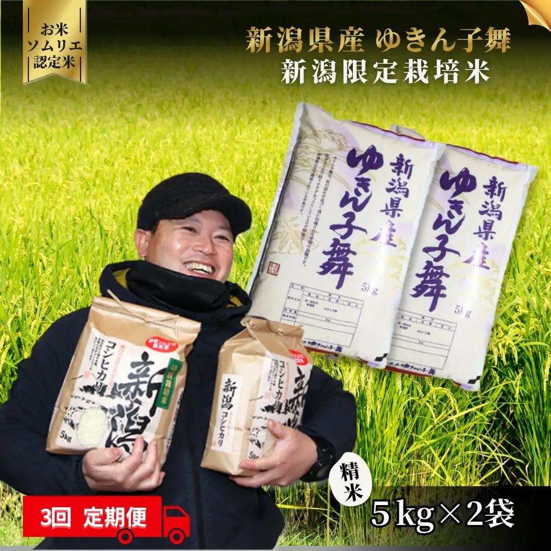 【定期便3回】令和8年産 新米 ゆきん子舞 10kg×3回(計30kg) お米ソムリエ 先行予約 | 新潟県産 米 五泉市