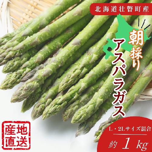 【先行予約】朝採れ直送　グリーンアスパラ約1kg（L・2L混合）北海道壮瞥町産 SBTM008