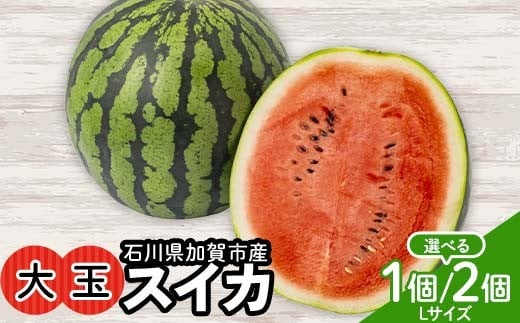 
                  【選べる容量】浜井さんの甘い！大玉スイカ 石川県加賀市産 1個 2個 スイカ 西瓜 デザート フルーツ 果物 F6P-2624var
                