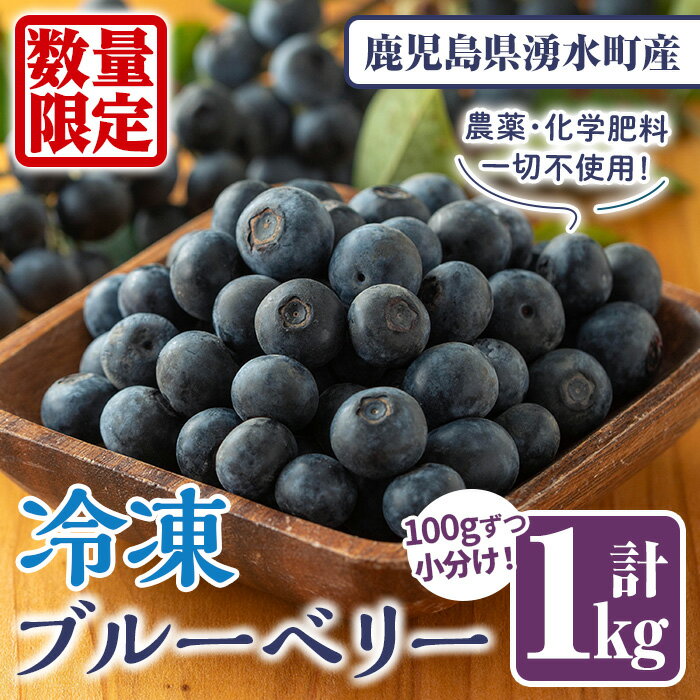 【ふるさと納税】《先行予約受付中！2026年9月以降順次発送》《数量限定》冷凍ブルーベリー(計1kg・100g×10パック) 冷凍 無農薬 国産 九州産 鹿児島県産 くだもの 果物 フルーツ シャーベット ジャム フローズン ベリー デザート【体験型観光農園さつまドリームファーム】