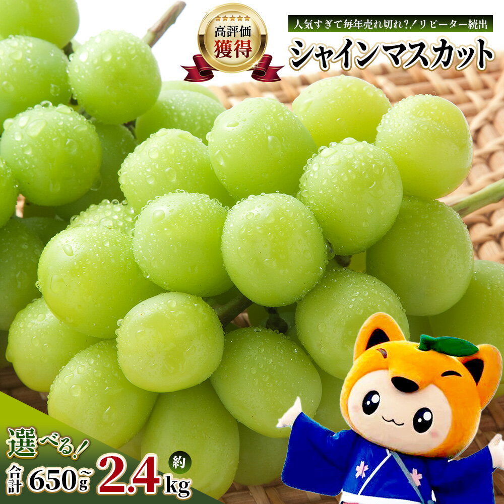 【ふるさと納税】先行予約 シャインマスカット 約650g~2.4kg（1〜6房）佐賀県産 | 2026年8月上旬以降発送 ふるさと納税 ご家庭用 シャインマスカット マスカット ぶどう 葡萄 果物 フルーツ くだもの スイーツ 佐賀県鹿島市 送料無料 B-658