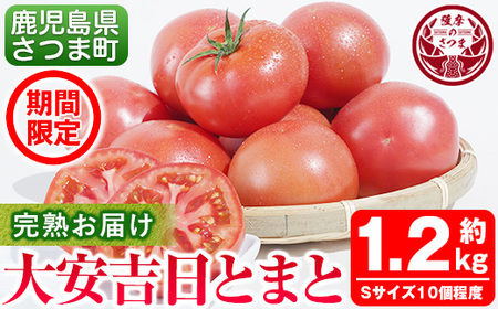 s199 さつま町産の大安吉日とまと(約1.2kg)完熟してから収穫した採れたてのトマトをお届け さつま町 特産品 鹿児島 国産 九州産 トマト 野菜【市囿庄一】