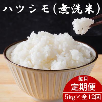 ふるさと納税 羽島市 【毎月定期便】岐阜県産ハツシモ(無洗米) 5kg全12回