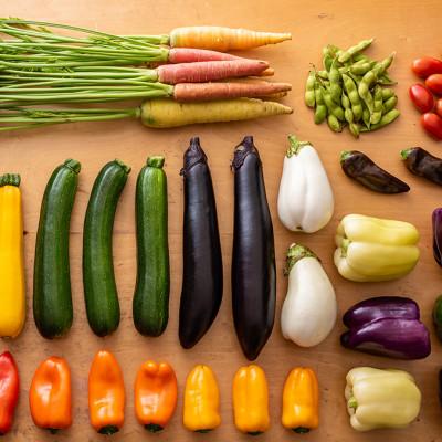 ふるさと納税 北上市 【発送月固定定期便】GIFTON 岩手北上産 四元豚 厳選カット肉と季節のうるおい 野菜セット全6回 |  | 01