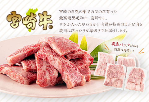 《2024年4月発送》宮崎牛 カルビ(バラ) 焼肉 250g×4パック 合計1kg