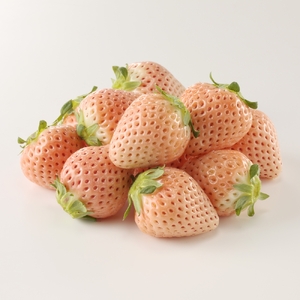 旬のフルーツ定期便（4回）【Z095】