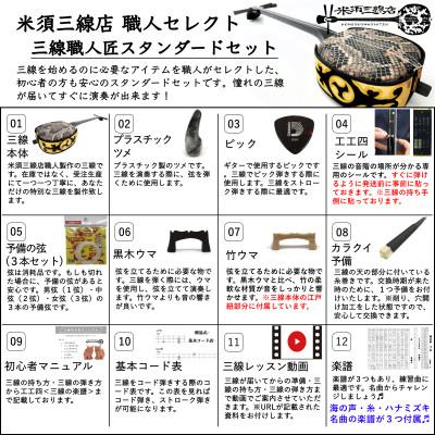 ふるさと納税 北中城村 【米須三線店】デザイン三線 初心者用スタンダードセット (ハイビスカス & 蝶 A) |  | 01