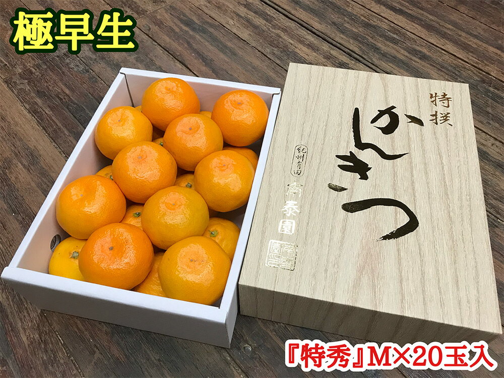 【ふるさと納税】極早生 みかん 有田 化粧箱 小箱 特秀 Mサイズ 約2kg 20玉入 南泰園【ミカン 蜜柑 柑橘 温州みかん 和歌山 有田】