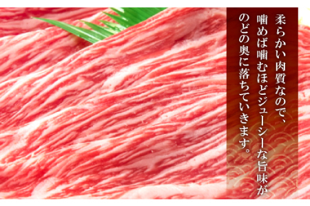 【冷蔵配送】全国大会W受賞！奥出雲和牛赤身すき焼き肉450g （みんな喜ぶ極上赤身すき焼き肉）【牛肉 赤身 すき焼き すき焼 黒毛和牛 450g 冷蔵】