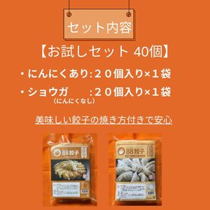 浜松餃子 88ぱちぱち 餃子 40個 (にんにくあり20個 にんにくなし20個) おためし セット 配送不可：離島