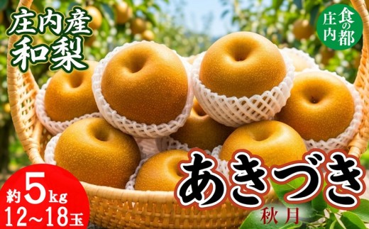 【令和8年産】食の都庄内　庄内産和梨【あきづき】約5kg　※令和8年9月中旬～10月中旬配送