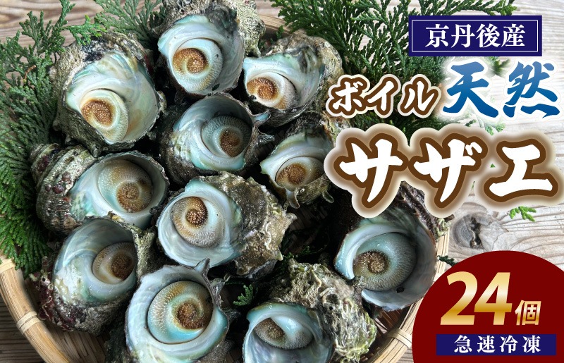 急速冷凍！壺焼き BBQにオススメ！天然ボイルサザエ 24個　YK00380