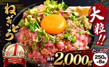 清幸丸水産 大人気！ ねぎとろ 2000g | ネギトロ とろ 鮪 マグロ まぐろ たたき まぐろのたたき 海鮮 海鮮丼 魚介 魚 人気 オススメ 小分け 人気 定番 ご飯 オススメ 千葉県 君津市 きみつ