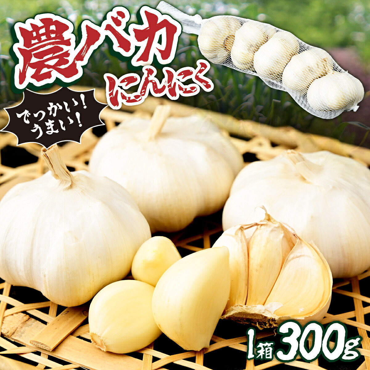【ふるさと納税】農バカにんにく 1箱（300g・5～8個） | にんにく ニンニク ガーリック 国産 300グラム 栄養 スタミナ ホイル焼き BBQ アヒージョ ぺペロンチーノ ガーリックシュリンプ 国内 冷蔵 おいしい スタミナ料理 東松山あそび農園 埼玉県 東松山市