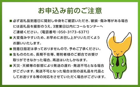旬の梨 王秋 5kg 庄内梨 大塚梨園＜2025年10月下旬以降発送＞