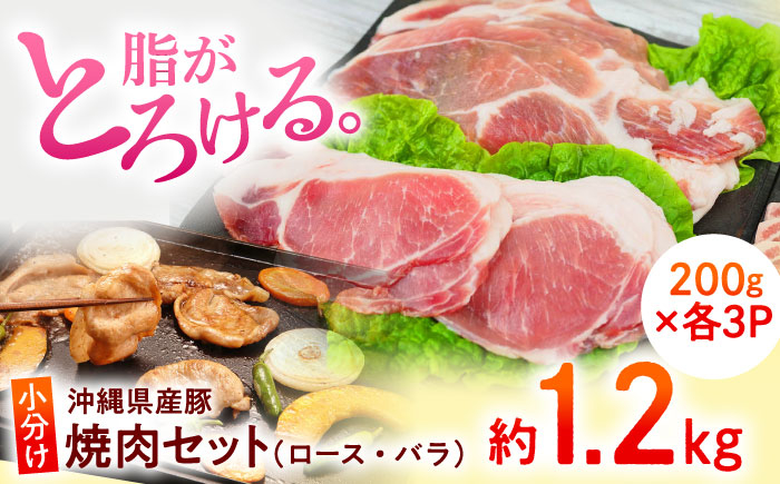 
            沖縄 豚肉 【くいまーる豚】 焼肉セット ( ロース ・ バラ ) 計1.2kg ( 200g × 各3P ) おきなわ ぶたにく 沖縄県産 ぶた バラ肉 豚バラ 豚ロース スライス 焼き肉 焼肉 やきにく 肉 にく お肉 小分け 国産 ロース バラ 焼肉用 ブランド豚 人気 おすすめ BBQ バーベキュー 沖縄市 / 宮城ふぁーむ [BCAJ001]▼ 冷凍配送 年末年始 年末 年越し お正月
          