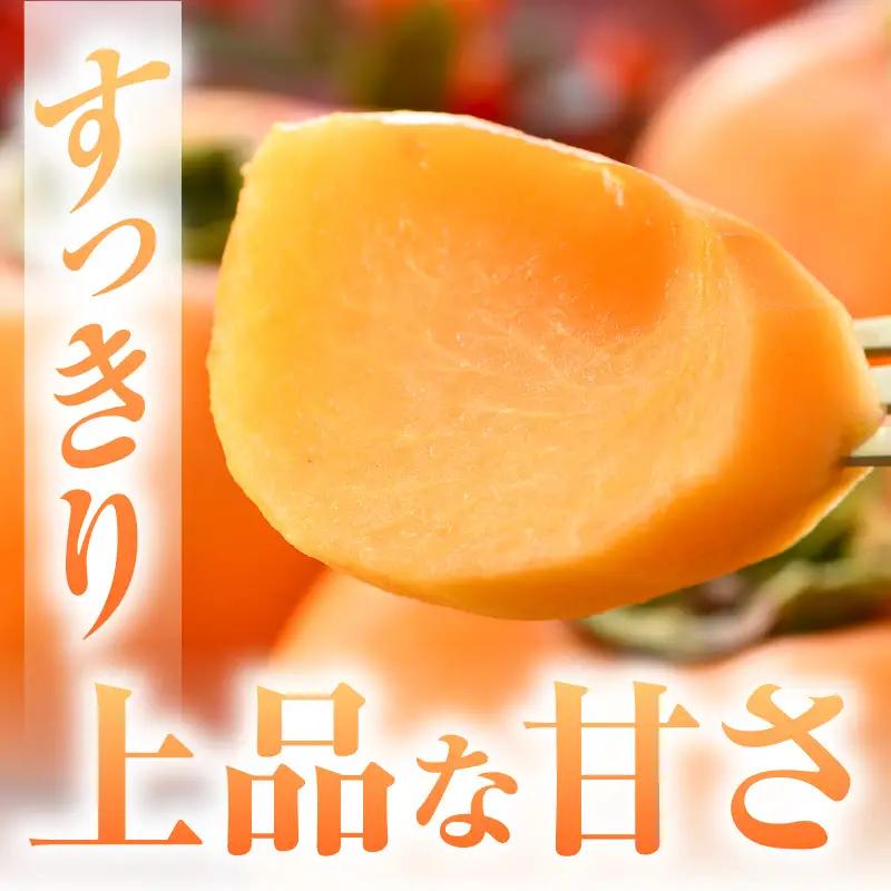【先行予約】越前柿 36個入 約6kg（M～2L）≪JA受賞歴親子２代≫  ／ 果物 フルーツ 柿 産地直送 期間限定 あわら ※2026年11月上旬より順次発送 [aw061-a002]