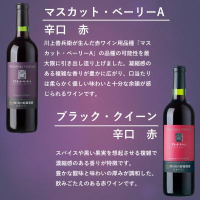 ふるさと納税 上越市 岩の原ワイン　「日本のワインぶどうの父」川上善兵衛が生み出した品種飲み比べ　贅沢5本セット |  | 01