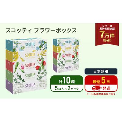 ふるさと納税 岩沼市 ティッシュ スコッティ フラワーボックス 10箱 (5箱×2P) [No.5704-1124] |  | 01