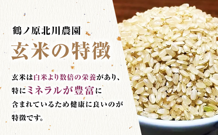 栽培期間中農薬不使用 令和5年産 豊コシヒカリ 玄米 5kg 武雄市/鶴ノ原北川農園 [UDL015]