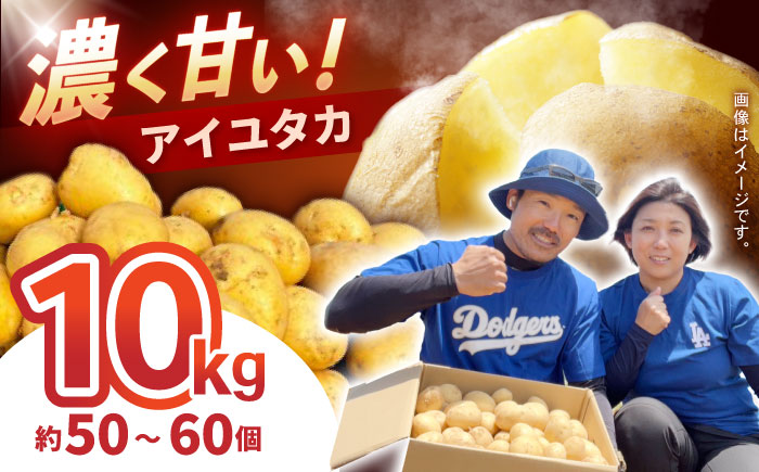 じゃがいも アイユタカ 10kg (S～2Lサイズ/約50～60個) / じゃがいも ジャガイモ ポテト 九州 あいゆたか アイユタカ 野菜 やさい / 諫早市 / スマイルファーム　 [AHFG001]