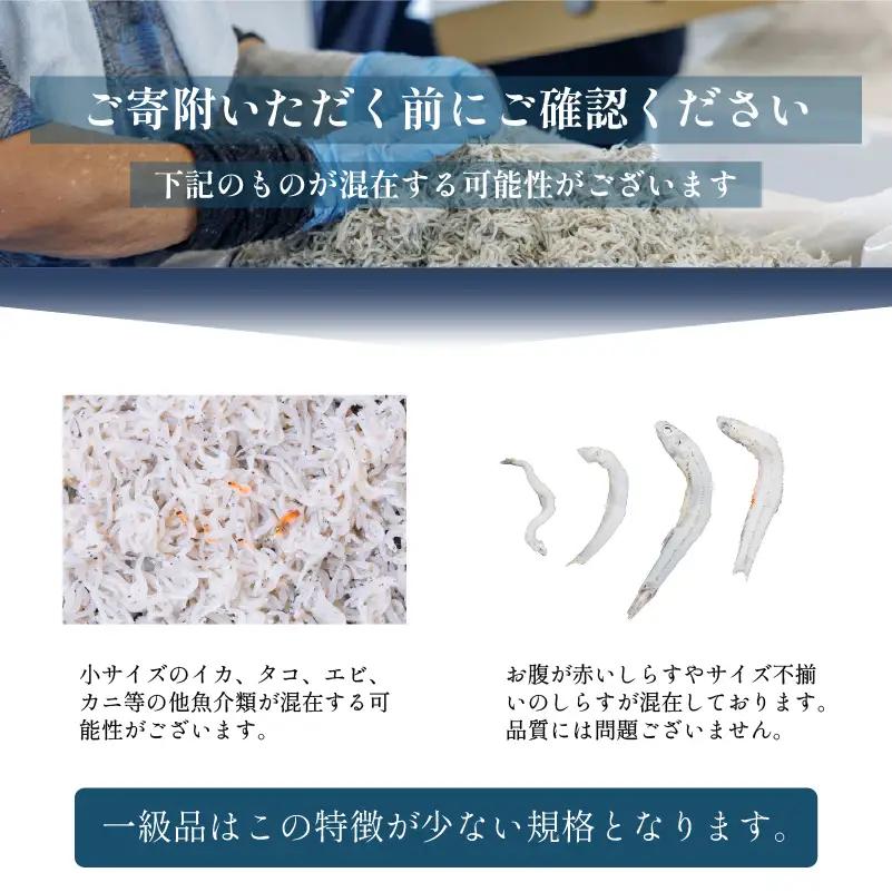 一級品 しらす 500g 釜揚げしらす しらす干し 愛媛県 松前町 【MYS003】