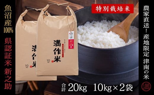 米 20kg ( 10kg × 2袋 ) 令和7年産 新米 魚沼産 新之助 県認証米 特別栽培米 農家直送 | しんのすけ ブランド米 お米 おこめ 白米 精米 おすすめ 新潟県 津南町