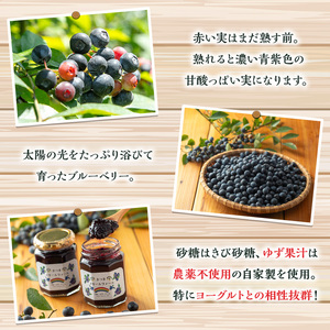 y529 ブルーベリージャム(計2個・140g×2) 果物 くだもの フルーツ ジャム ベリー 自家製 パン ヨーグルト 朝食 食品 加工品 常温 【体験型観光農園さつまドリームファーム】