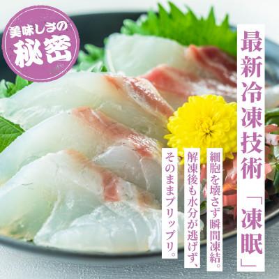 ふるさと納税 竹原市 瀬戸内「天然」真鯛 お刺身用 1kg 柵でお届け(急速冷凍)| 便利な小分け 100gパック |  | 02