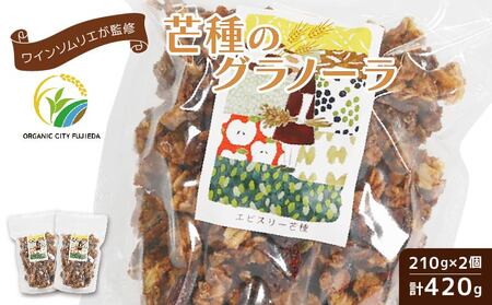 グラノーラ 手作り 210g×2個 計420g 静岡県 藤枝市  | シリアル