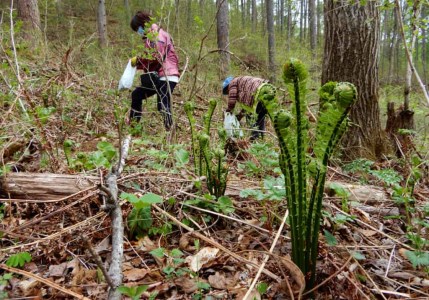 南相木村の自然体験利用券（1万円分）