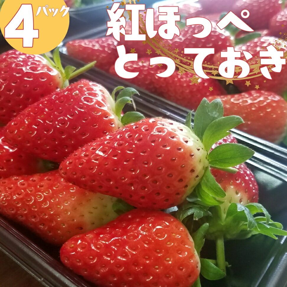 【ふるさと納税】いちご 苺 イチゴ ハワイ 紅ほっぺ とっておき 鳥取県産 オリジナル