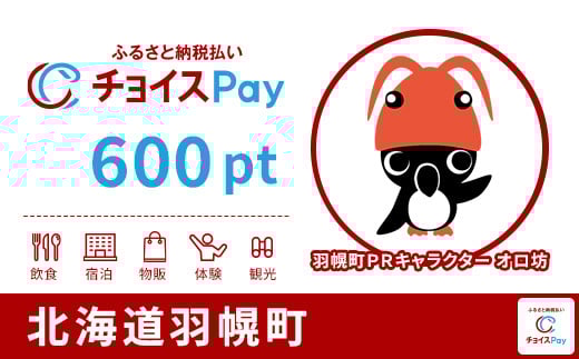 
            羽幌町チョイスPay 600pt【会員限定のお礼の品】
          