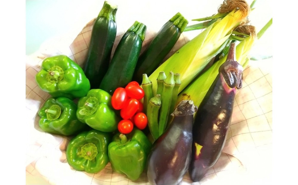 
                  瀬戸ガーネット　500gと夏野菜詰め合わせセット1～2人分【6月下旬以降発送】
                