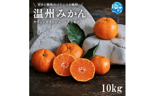 
                  温州みかん 10kg サイズ混合 / 温州 みかん 柑橘 由良町 果物 フルーツ 小玉 大玉 サイズ混合 くだもの 産地直送 和歌山 ※2026年11月中旬から12月下旬頃に順次発送【 iism004-p-10】
                