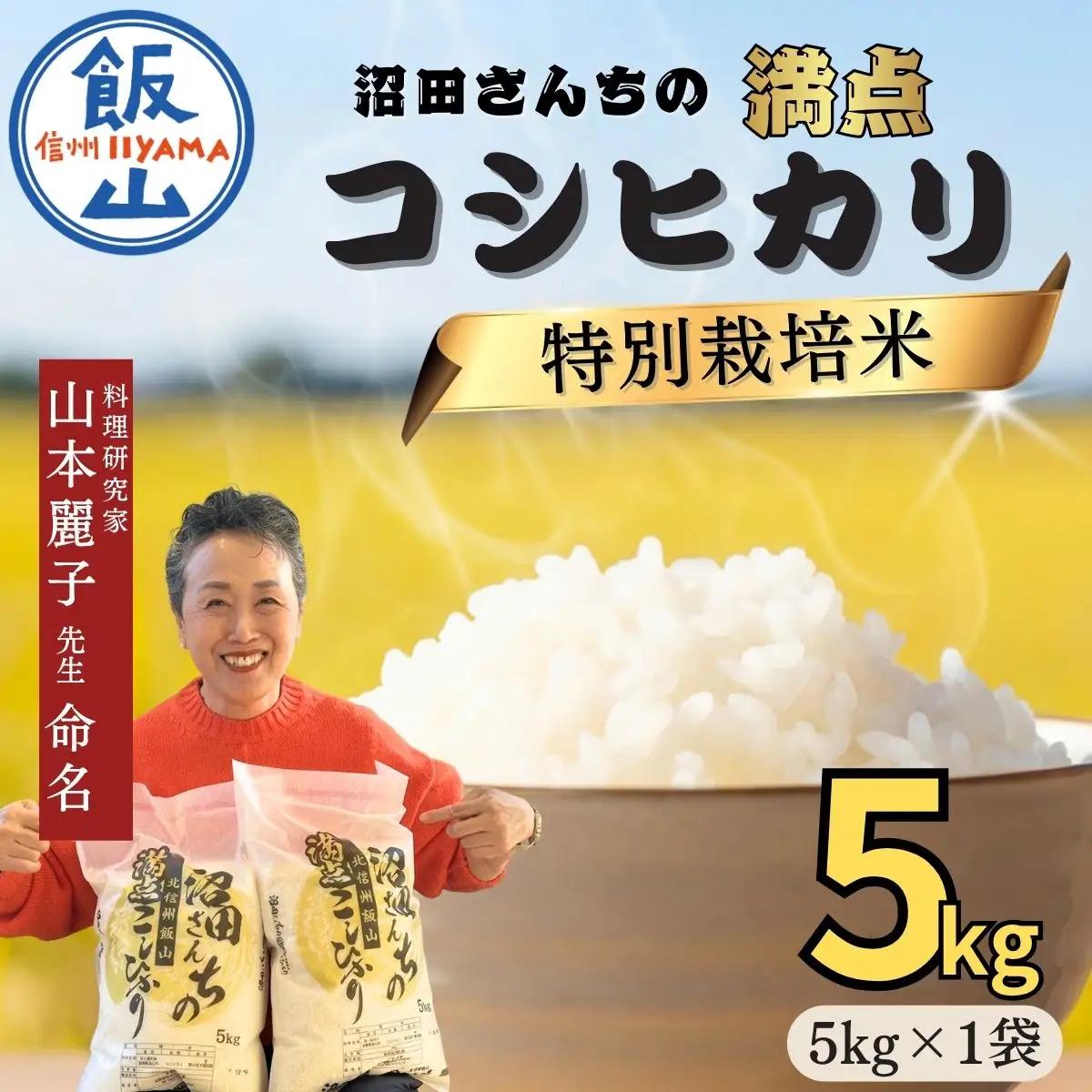【令和7年産米】沼田さんちの満点 こしひかり 精米 5kg | お米 米 コメ ご飯 ごはん 白米 コシヒカリ 美味しい オススメ 長野県 飯山市 特A (7-57B)