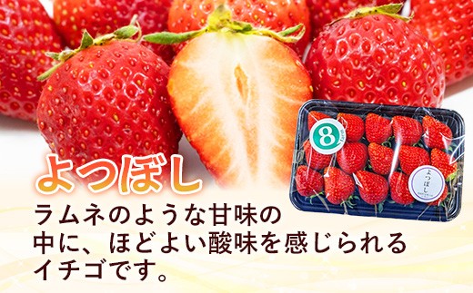 【先行予約】 よつぼし 2パック 【 選べる品種 約290g×2パック 四つ星 イチゴ いちご 苺 ストロベリー 冷蔵 安来市産】【10-FA-12】