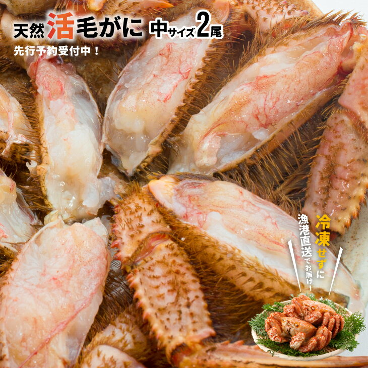 【ふるさと納税】【先行受付開始！】漁協の活毛がに 中サイズ2尾セット※日付指定対応不可※[02-175]※離島・沖縄県発送不可※ 北海道 浦河 ふるさと納税 北海道産 北海道日高産 極寒 毛蟹 毛がに 活 2尾 送料無料