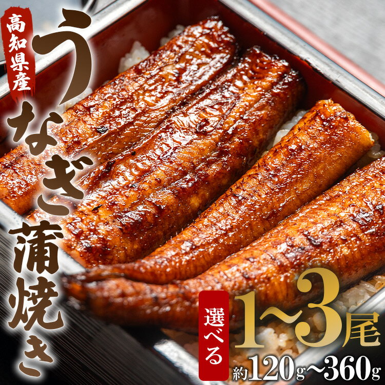 【ふるさと納税】高知県産うなぎ蒲焼き（選べる内容量：計約120g〜約360g 1尾〜3尾）（無頭）- 鰻 ウナギ スタミナ 晩ご飯 おつまみ 丼 ギフト お礼 御礼 感謝 お取り寄せグルメ 海の幸 うなぎ屋きた本 高知県 香南市【冷凍】