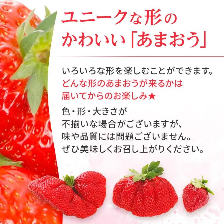 いちご あまおう 約250g×4P 計1000g 【2027年1月～4月に順次出荷予定】いちご CB223