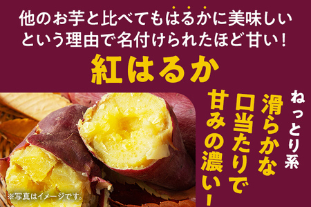 訳あり 熟成 紅はるか 5kg さつまいも 芋 サツマイモ 土付き サイズ色々 サイズ不揃い 九州産 焼き芋 やきいも 甘い デザート スイートポテト 生芋 おやつ デザート 野菜 いも【2024年1