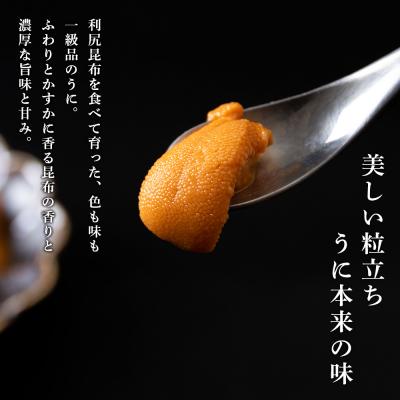 ふるさと納税 千歳市 【2025年6月より発送】赤利尻　生うに　花塩水「煌」 バフンウニ |  | 01