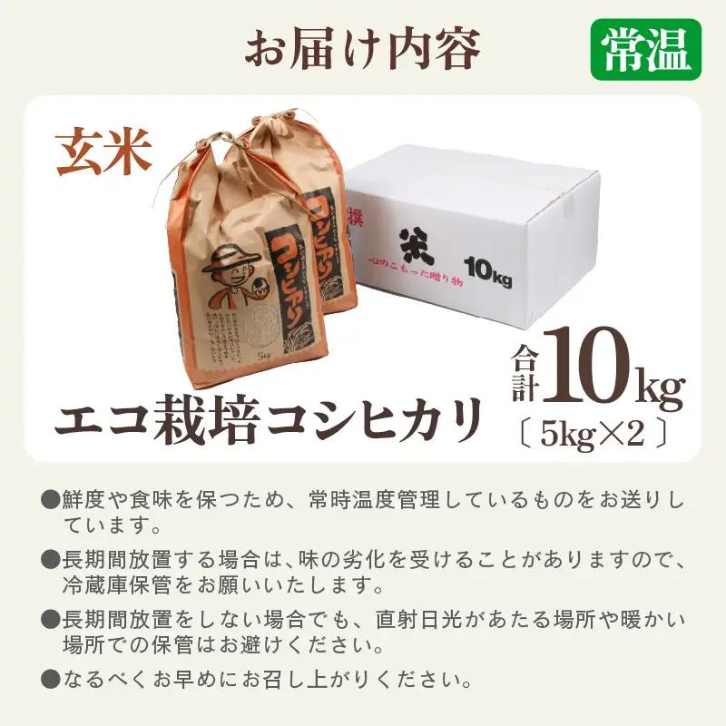 【先行予約】【令和8年産 新米】【一等米】エコ栽培コシヒカリ 玄米10kg（5kg×2） ／ 鮮度抜群 福井県産 こしひかり ご飯 新鮮 玄米 ※2026年10月上旬以降順次発送 [aw063-a02
