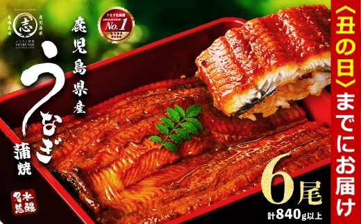 【丑の日までに配送】鹿児島県産うなぎ蒲焼 名水慈鰻 6尾＜計840g以上＞ うなぎ 鰻 ウナギ 6尾 国産 蒲焼 かばやき 冷凍 真空 真空パック 無頭 うな重 ひつまぶし タレ 山椒 c0-147-us