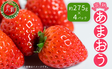 暖家のいちご 完熟あまおう 3月下旬以降発送 (約275ｇ×4パック） 3Z4-S