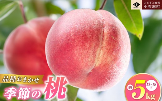 季節の桃 約5kg 13～18玉［ おぶせファーマーズ ］桃 もも モモ ピーチ フルーツ 果物 たまき なつき あかつき 川中島白鳳 なつっこ 川中島白桃 黄金桃 だて白桃 先行予約 長野県産 信州産 クール便 冷蔵便 お取り寄せ 産地直送 数量限定 産地 直送 令和8年産【2026年7月中旬～9月中旬発送】［F-63］