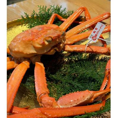 ふるさと納税 鯖江市 【産地直送】越前産　紅ずわいがに　1.0kg以上×1杯 |  | 01