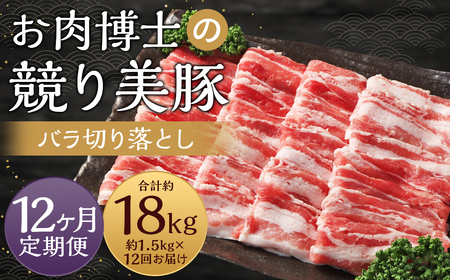 【全12回定期便】長崎県産「競り美豚」 バラ 切り落とし 1.5kg 計18kg (1.5kg×12回) ／ 競美豚 競り美豚 豚肉 肉 バラ切り落とし パック 小分け