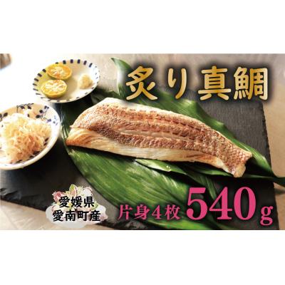 ふるさと納税 愛南町 炙り 真鯛 切り身 4柵 合計 540g ( 270g ×2 パック ) 朝〆 まだい 鯛 愛南町